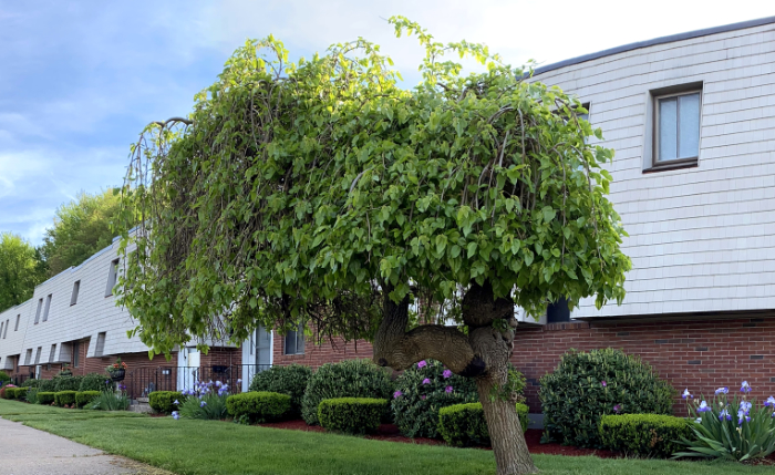 Beekman Place Estates community