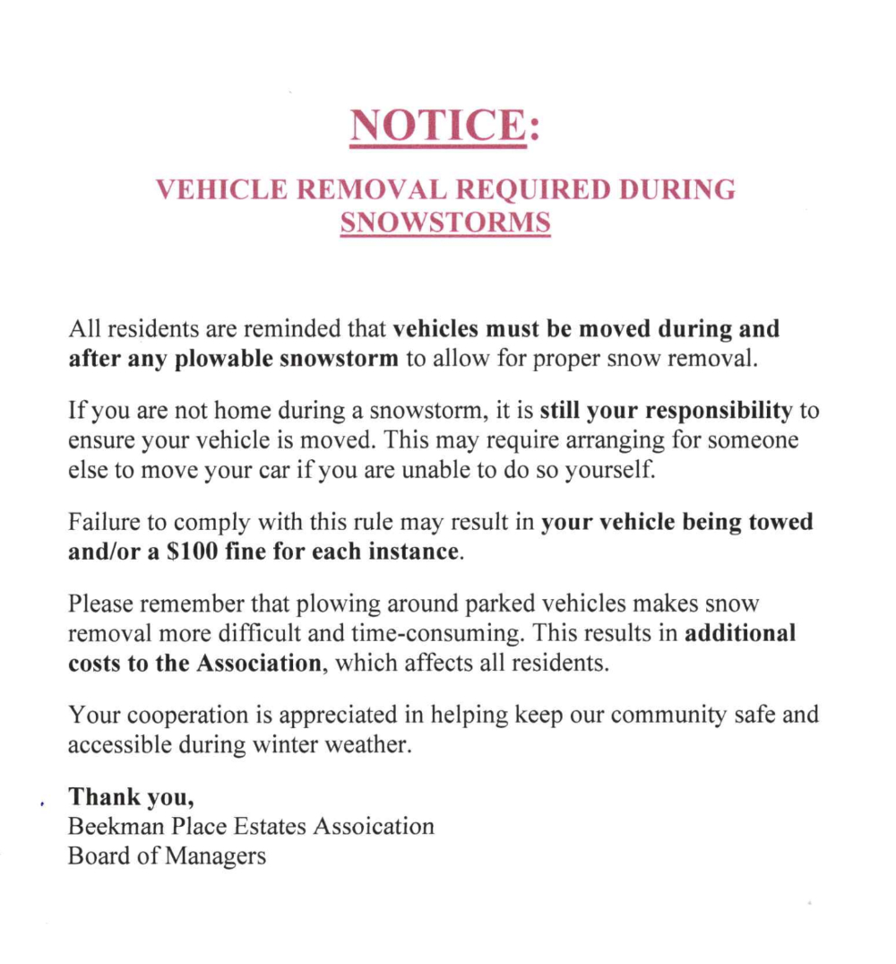 snowstorm vehicle removal